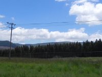 DSCN7913  More plantations