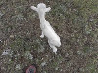 DSCN7934  Though I was mom