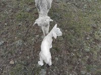 DSCN7935  but then was corrected