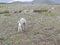 DSCN7936  Off they go!