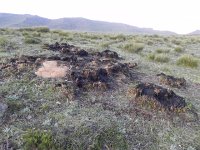 DSCN7964  what else would explain this?