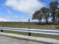 DSCN8011  and ramshackle cemetaries