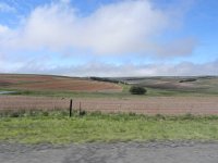 DSCN8016  next to gynormous farm fields