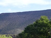DSCN8055  Looking up to the Sneeuberg
