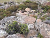 20161123 111140  more rockscape