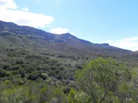 DSCN8068  climbing up the mountain side