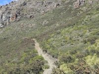 DSCN8070  Upward over steps