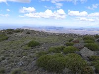 DSCN8086  a rock wall?