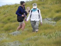 DSCN8130  making their way out of the wind