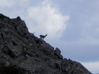 DSCN8136  we are not alone!