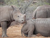 DSCN8163  from the Ice Age