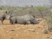 DSCN8164  but still with us