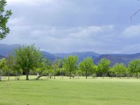 DSCN8166  Rain brewing