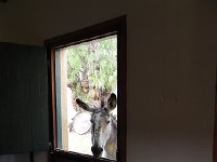 DSCN8169  Lunch being served?