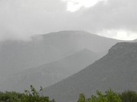 DSCN8175  Tortoise in the rain