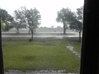 DSCN8177  Down it comes