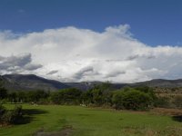 DSCN8192  donkeys and clouds