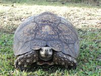 DSCN8204  I know what you mean...