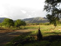 DSCN8205  grazing grounds