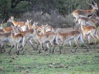 DSCN8213  tinged with light