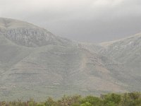 DSCN8239  rain and gazelles