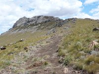 P1120664  and a half track