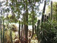 20161124 113709  Garden views