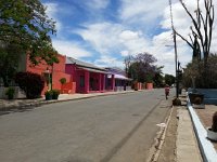 20161124 115127  Quite a neighborhood