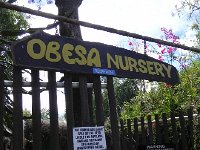 DSCN8259  The garden entrance