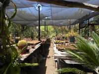 DSCN8262  Garden views