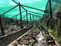 DSCN8263  Garden views