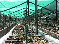 DSCN8264  Garden views