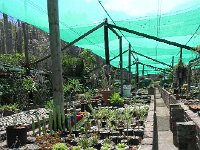 DSCN8265  Garden views