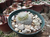 DSCN8269  Garden views