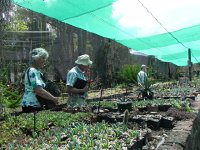 DSCN8270  Garden views