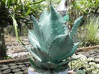 DSCN8276  Garden views