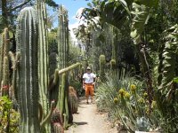 DSCN8284  Thorns galore