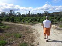 DSCN8380  Walking with the gimpy dog