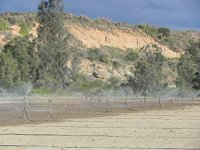 DSCN8410  Irrigation