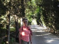 DSCN8412  Looking good!