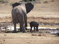 DSCN8465  Pretty cute