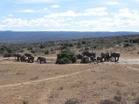 DSCN8467  Dispersing a bit