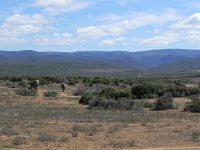 DSCN8475  Others come in