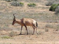DSCN8481  Back out to the bush