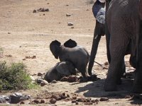 DSCN8488  Kids playing in the mud