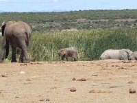 DSCN8499  VERY muddy