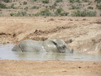 DSCN8501  Blowing bubbles