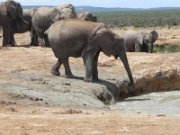 DSCN8516  Trying not to slip