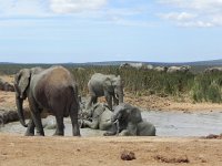 DSCN8519  Playing in the mud