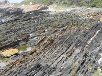 DSCN8609  Tortured strata